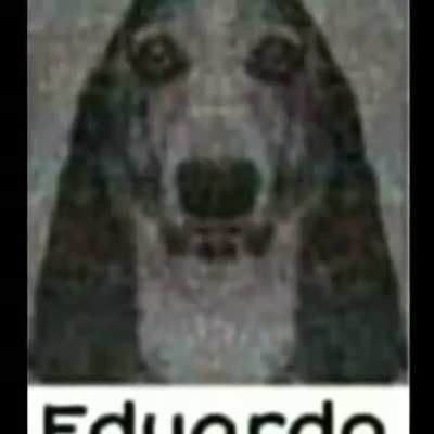 si