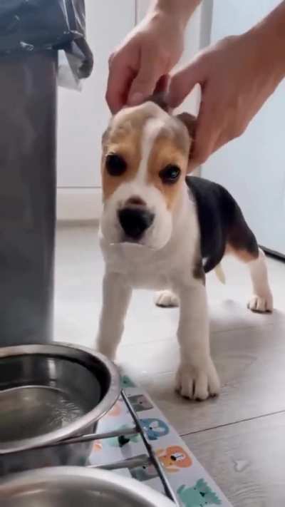 awwww