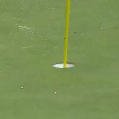 A mind blowing golf shot