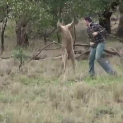 Into The Outback