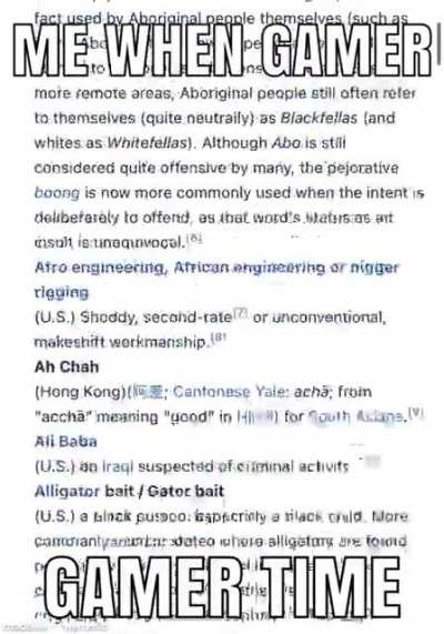 I am the CEO of ethnic slurs