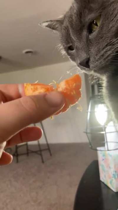 Orange scrunge