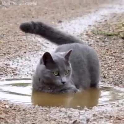 Wetness is the essence of beauty