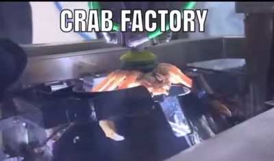 Crab Factory 🦀