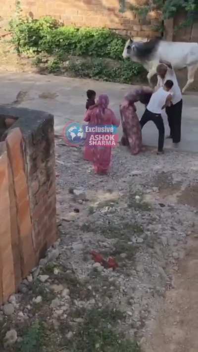 Shocking: Father-in-law and Husband Brutally Assault Woman in Jodhpur &mdash; Video from Nandwan; Husband Reportedly a Govt Lecturer 🚨