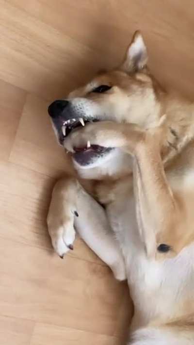 He just ate. Now it&rsquo;s time to floss.