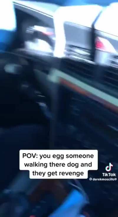 Perfect revenge on dumbasses who were egging random people walking
