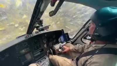 Helicopter flies through a locust swam. Cockpit view and sound!