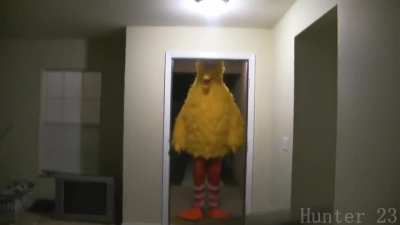 I watch Sesame Street for the plot