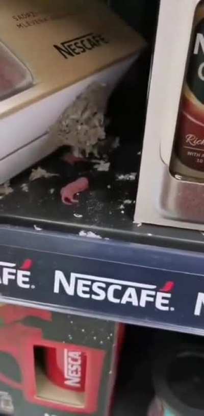 Sestra izašla od IDEA marketa da kupi nes