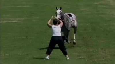 JJ trying to fight a horse