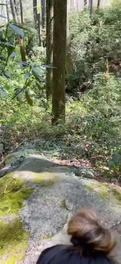 Sucking hi[m] just of[f] the trail
