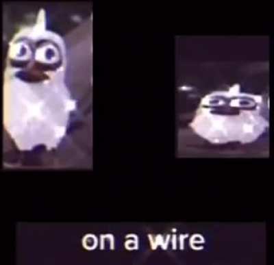 One tries to fl.... * fucking dies,*