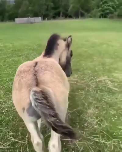 HUMAN COME BACK!!!