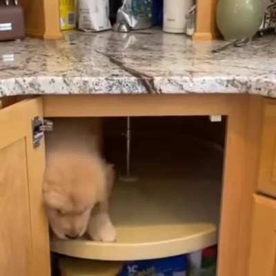 "I have made a terrible mistake..."