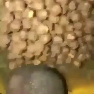 Coco puffs