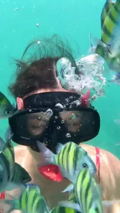 "Under the Sea" in Thailand | IG May 2023