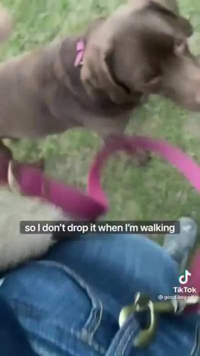 Maybe maybe maybe