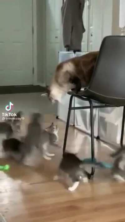 Подойдите ближе...