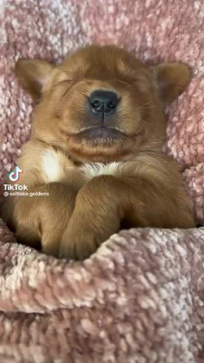So cute