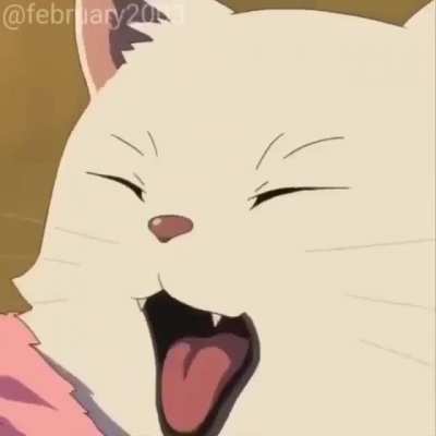 MIAU