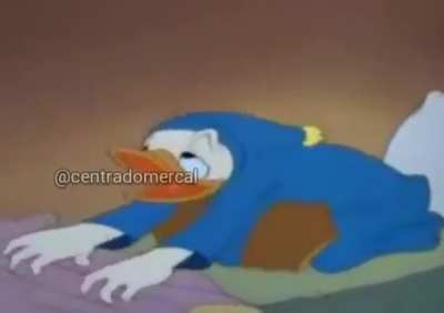 🦆