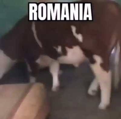 Magic Mămăligă
