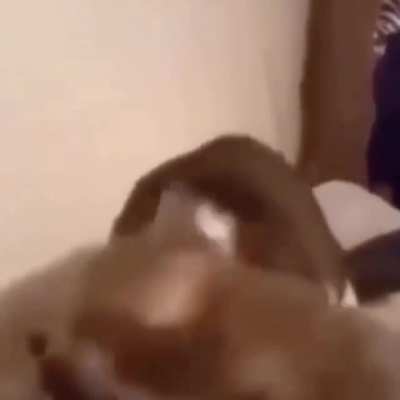 &Ntilde;om &Ntilde;om
