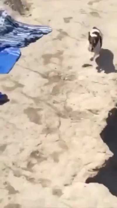 &ldquo; Aight later guys, my friends are in the water gotta go! &ldquo;