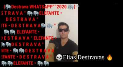 Elefante DESTRAVA