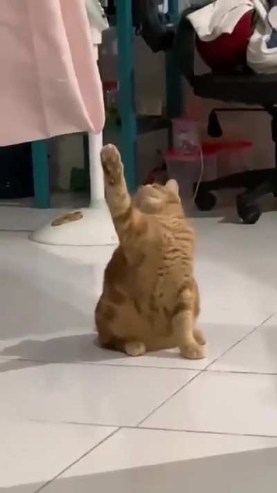 I'm ok