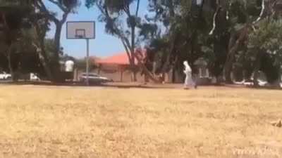 Allahu akbar