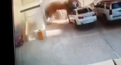 Very unlucky, or very lucky?