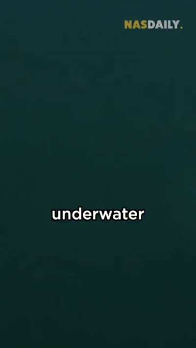 First Underwater Farm