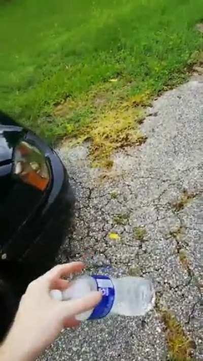 "neither does the bumper"