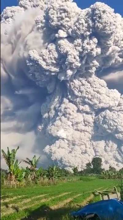 Sorry bro, I just couldn&rsquo;t hold my fart in any longer