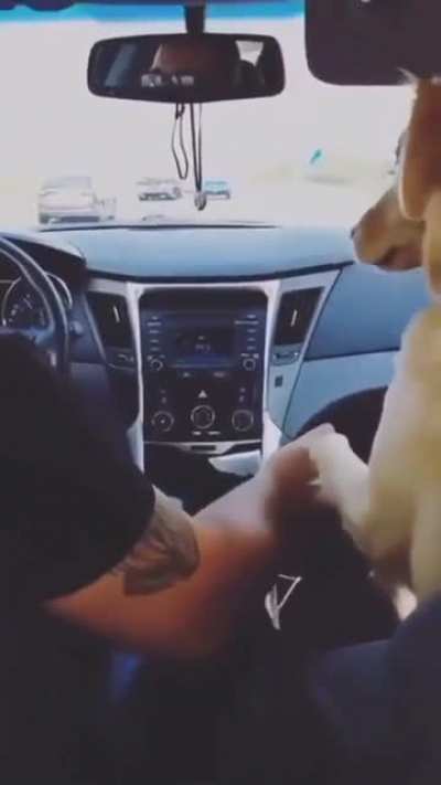 Bros sit in the front, side chicks in the back