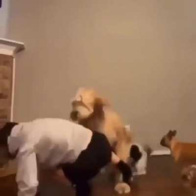 Fuck that human!