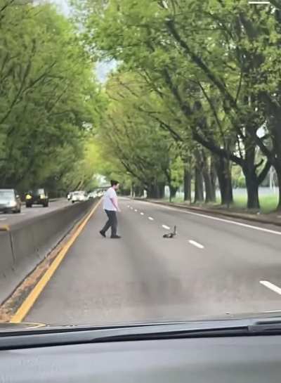 Mama and her baby&rsquo;s get escorted to westmoreland park&mdash;southbound on McLoughlin