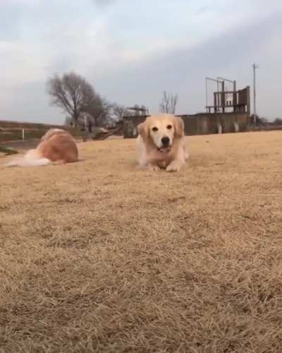 Here&rsquo;s something to brighten your day!