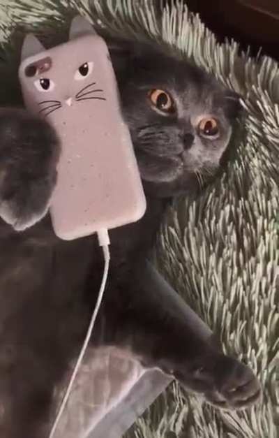 Reooooo.. 😼