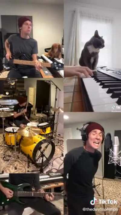 A one man band