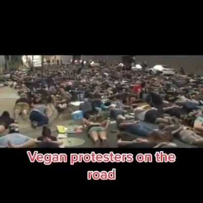 Protesters on the road