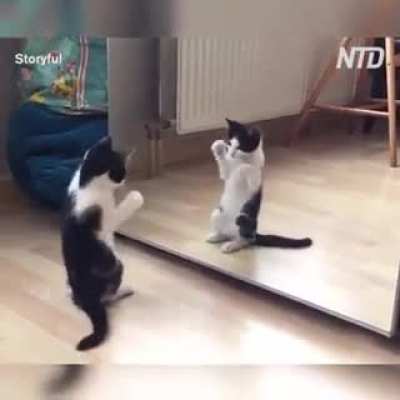 Cate.