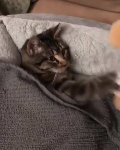 Bedtime cuddles