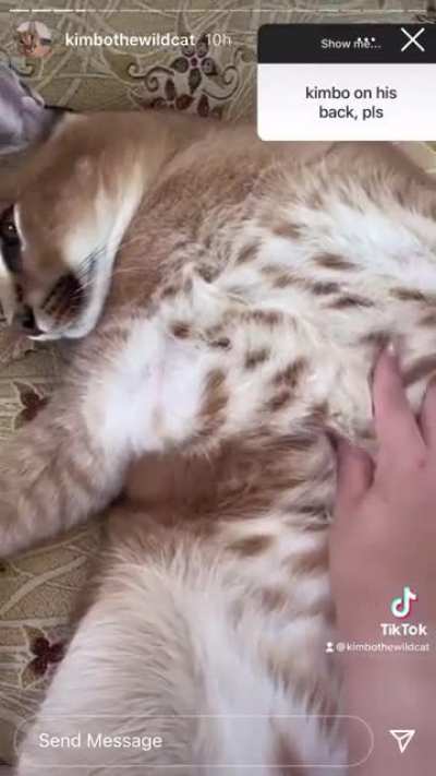 so soft