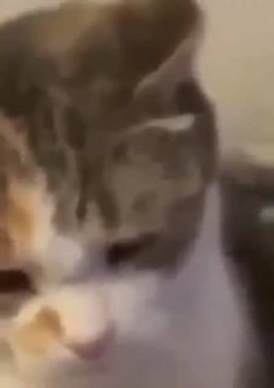 :c