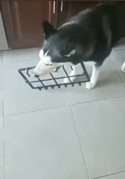 Wasn't me...