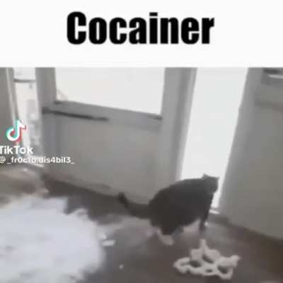 Sjbeisbweone