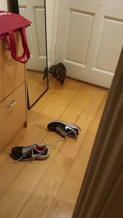 Jazz and the mirror again ... part 2.